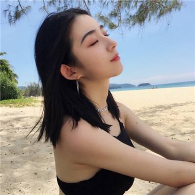 迷你城市猫狗乐园最新版下载